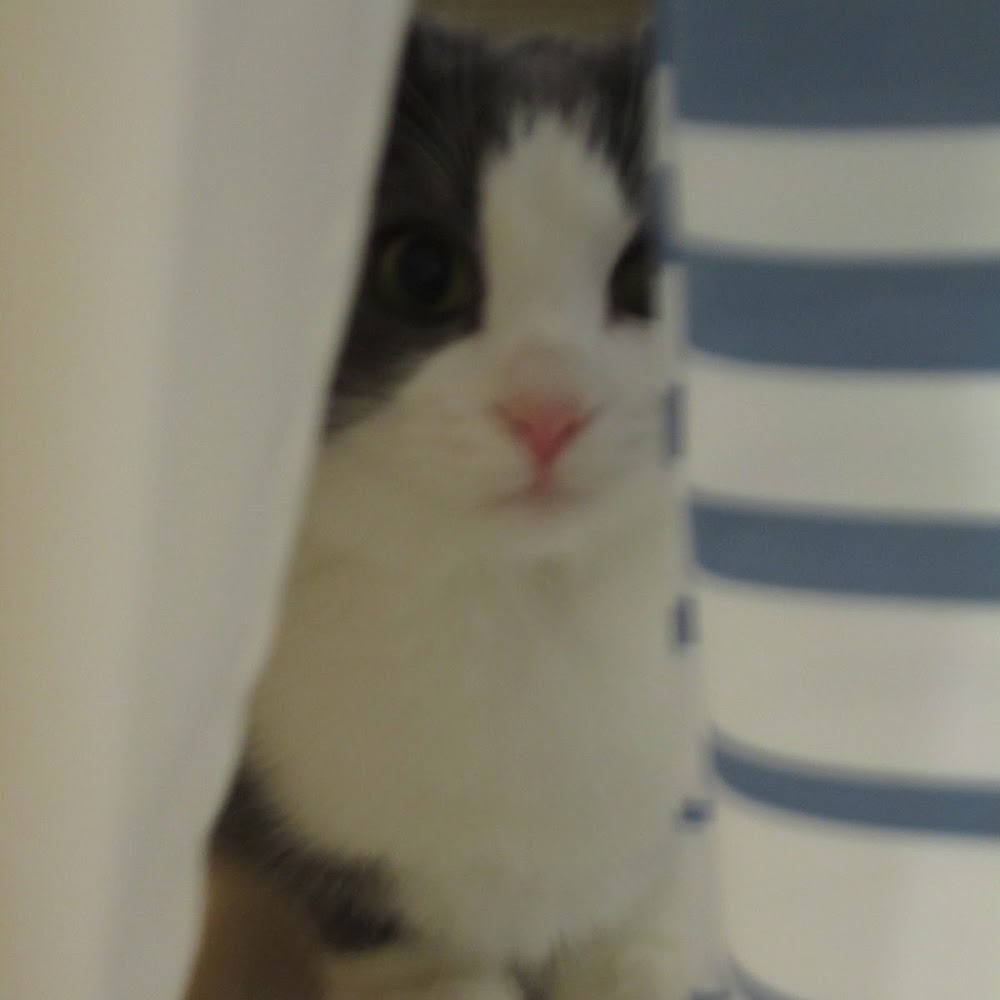 Meet your Posher, Lilly